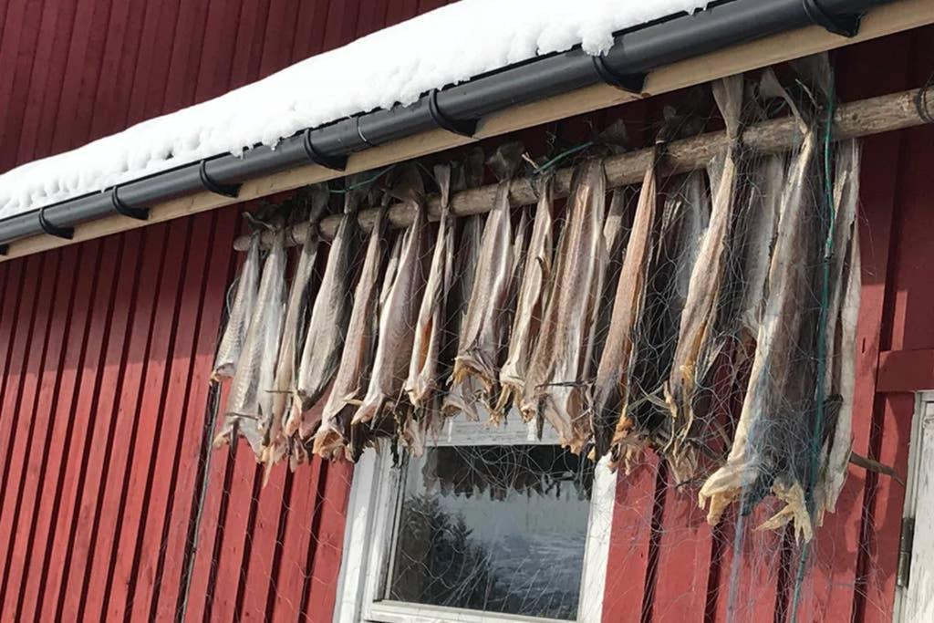 Nordlandshus Ved Lofotr Villa Bostad Buitenkant foto